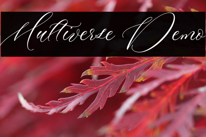 Multiverse Demo Example 1