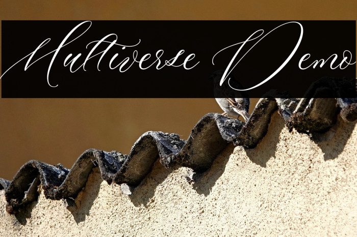 Multiverse Demo Example 3