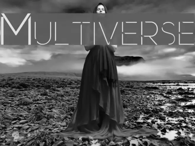 Multiverse Example 1