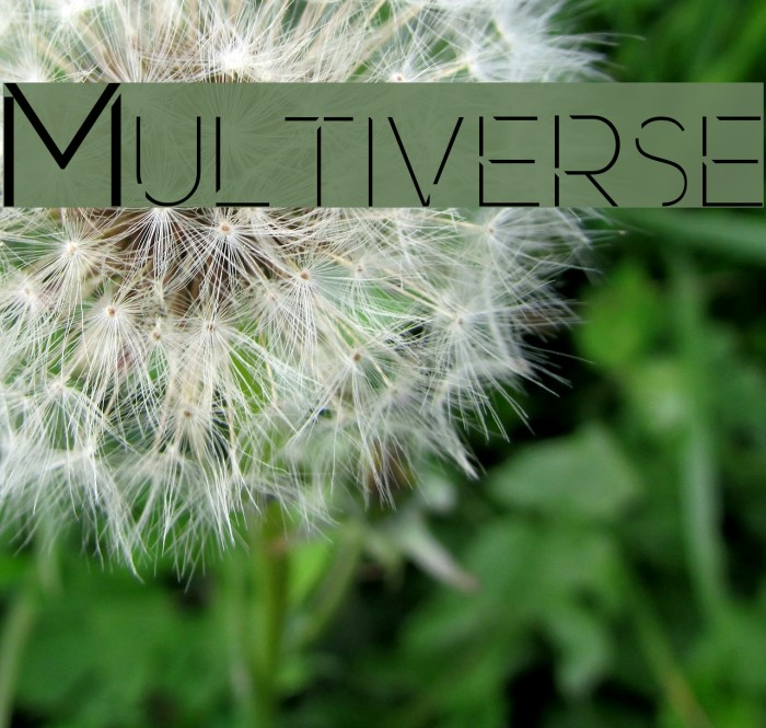 Multiverse Font examples