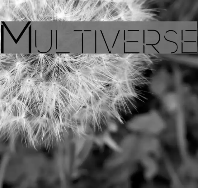 Multiverse Example 2