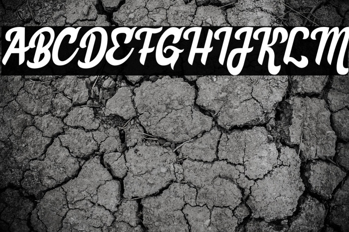 MumbaiCurryDemo Example 2