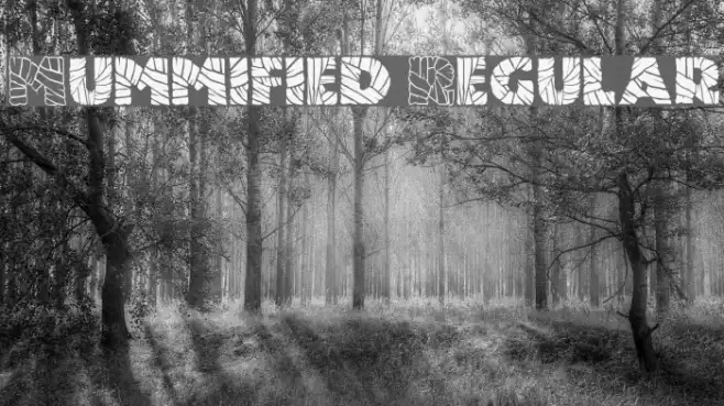 Mummified Regular Example 2