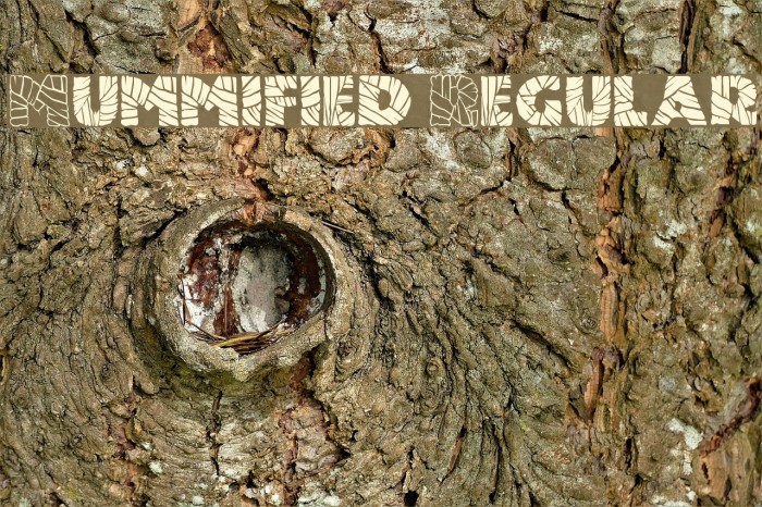 Mummified Regular Font examples