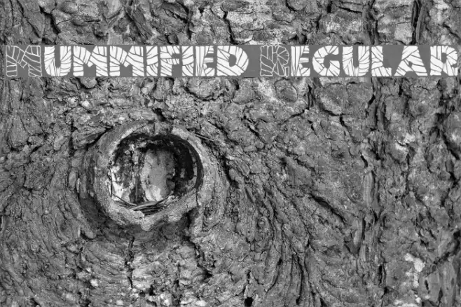 Mummified Regular Example 3