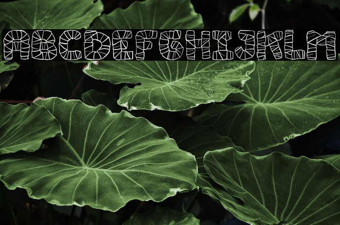 Mummy Halloween Example 2