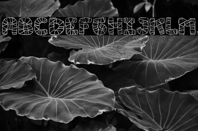 Mummy Halloween Font examples