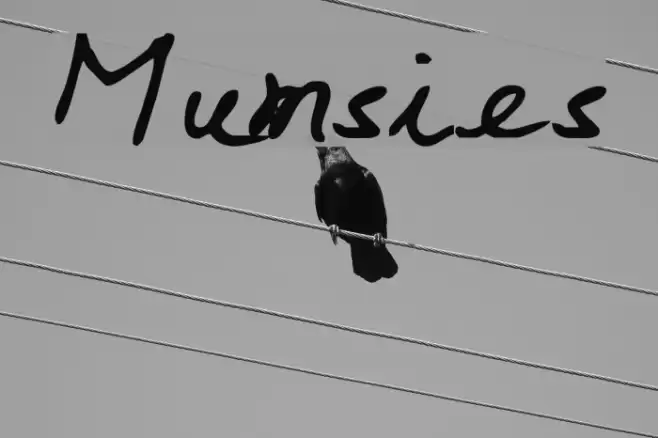 Mumsies Font examples