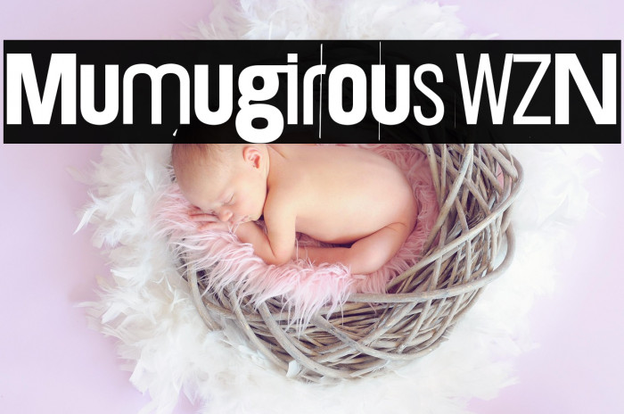 Mumugirous WZN Example 1