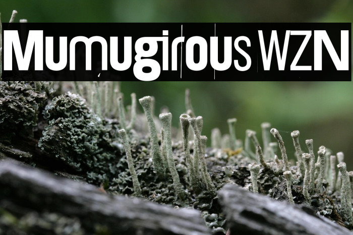 Mumugirous WZN Example 3