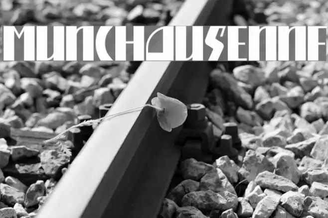 MunchausenNF Fuentes examples