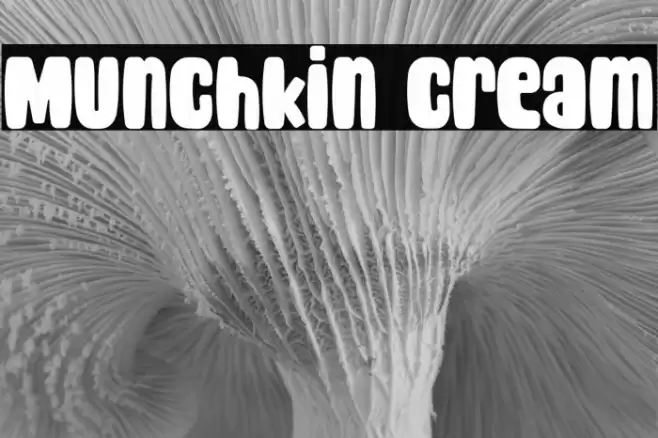 Munchkin Cream Font examples