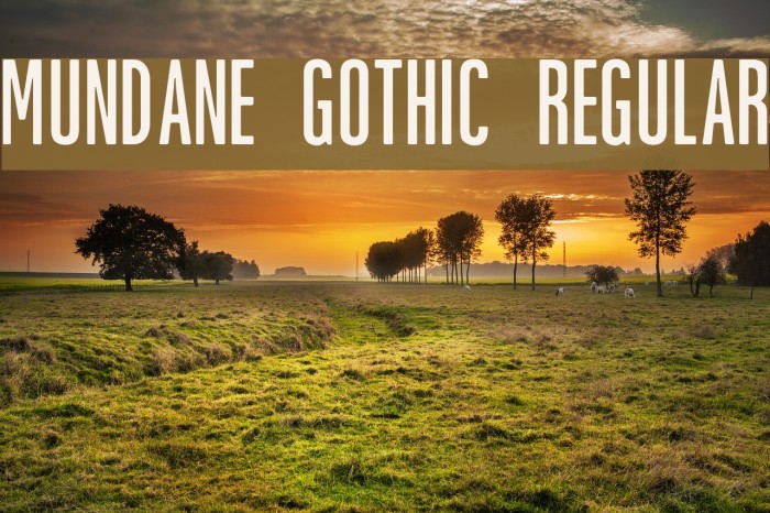 Mundane Gothic Regular Font examples