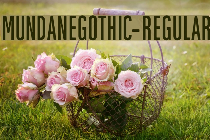 MundaneGothic-Regular Font examples