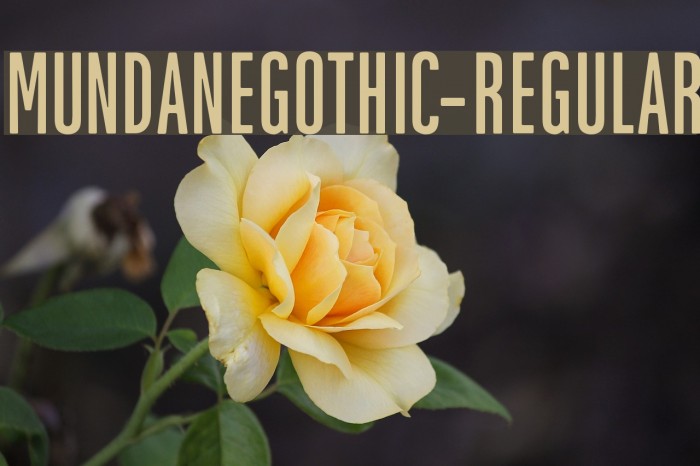 MundaneGothic-Regular Font examples