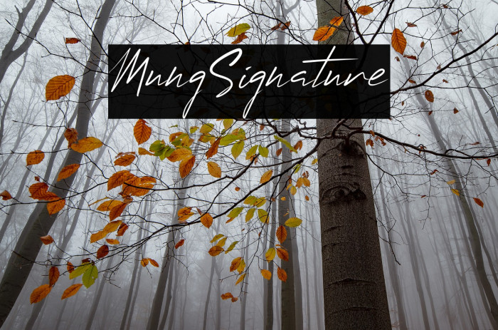 MungSignature Font examples