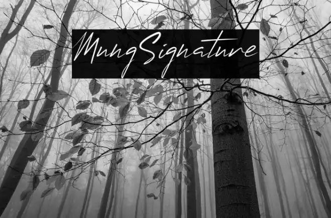MungSignature Example 1
