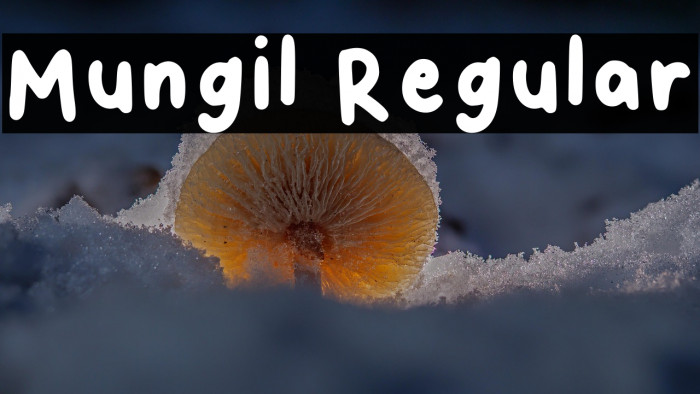 Mungil Regular Example 1