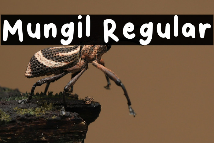 Mungil Regular Example 2