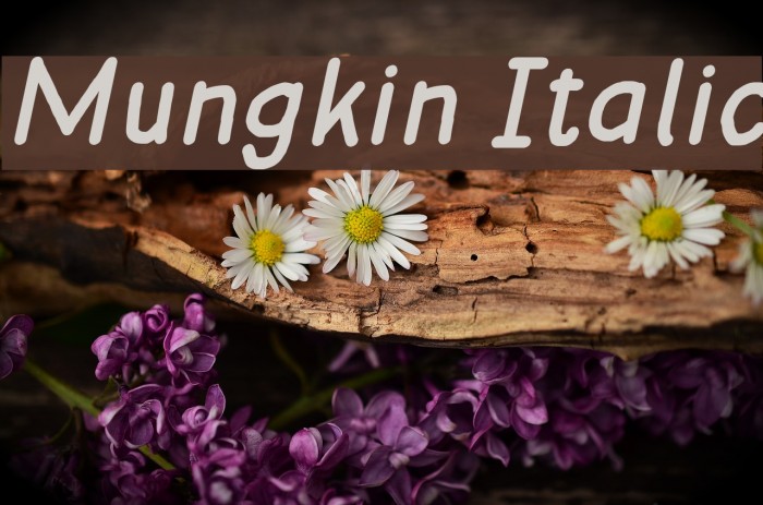 Mungkin Italic Font examples