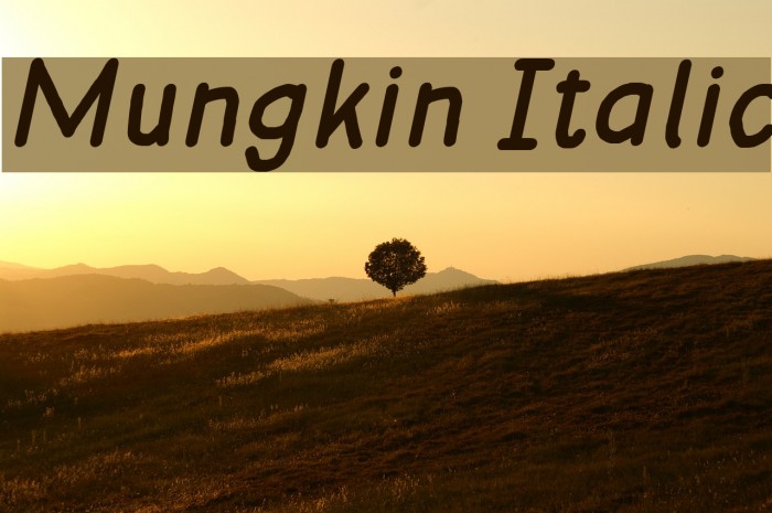 Mungkin Italic Font examples
