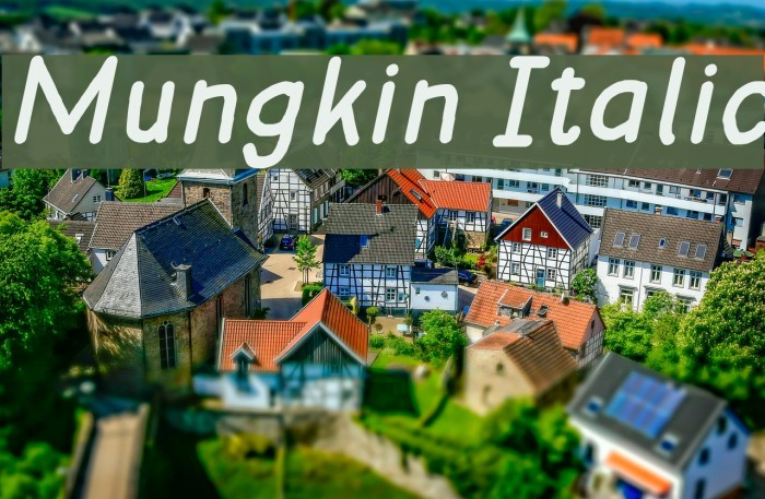 Mungkin Italic Font examples