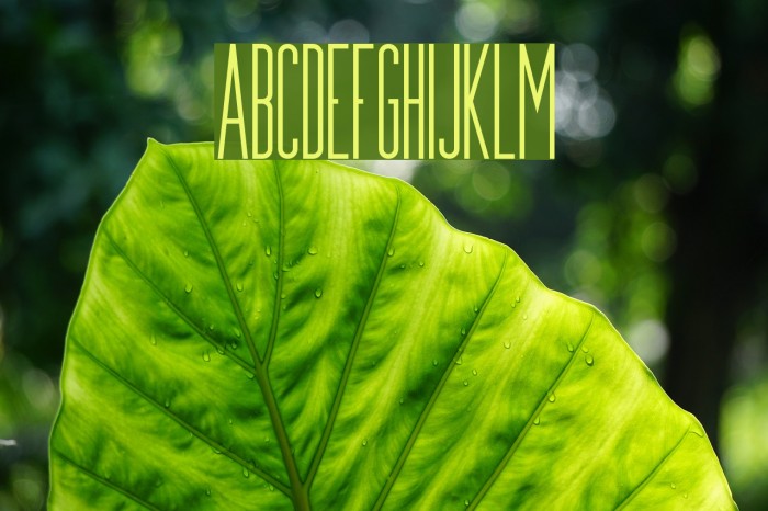 Munich Demo Font examples
