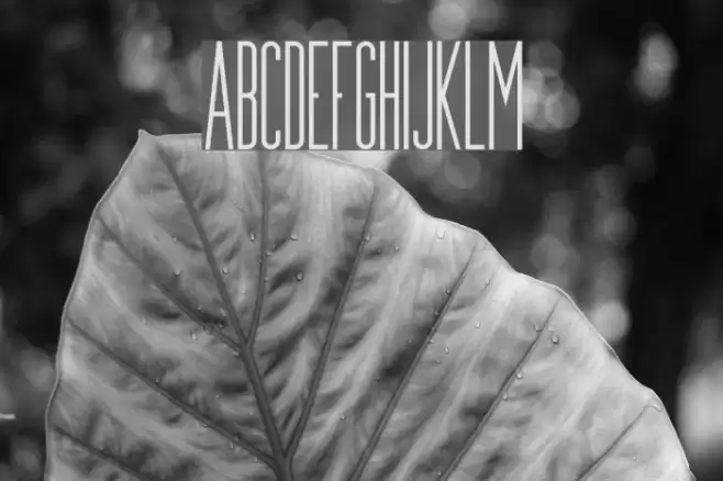 Munich Demo Fuentes examples