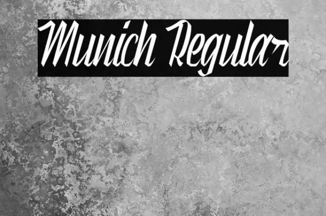 Munich Regular Fuentes examples