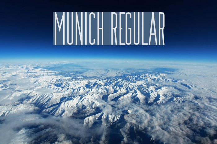 Munich Regular Font examples