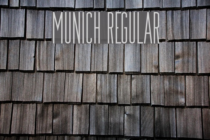 Munich Regular Font examples