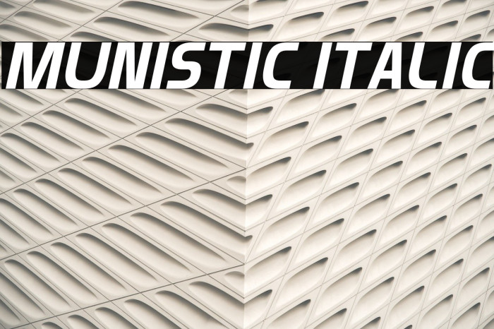 Munistic Italic Font examples