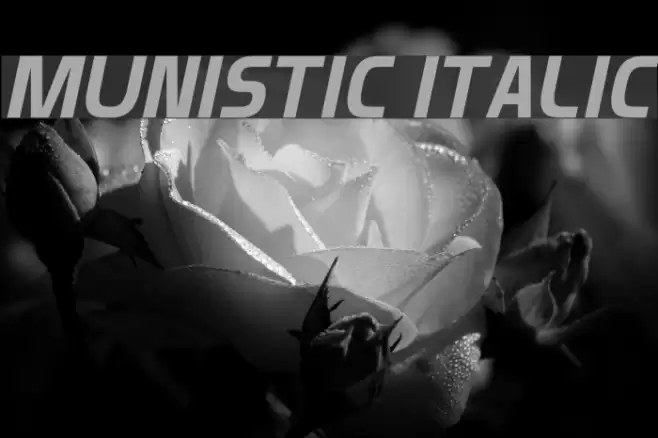 Munistic Italic Font examples