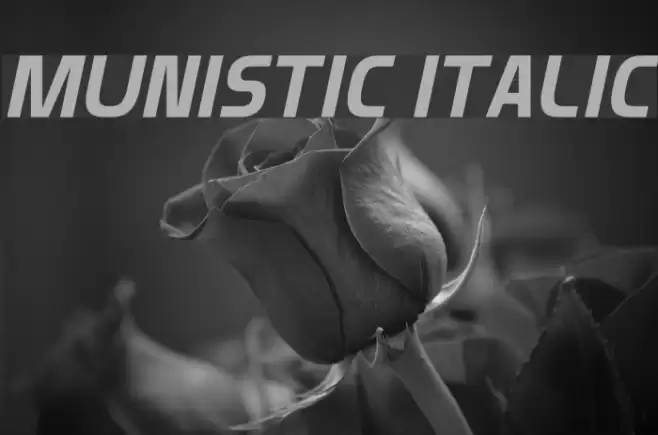 Munistic Italic Font examples