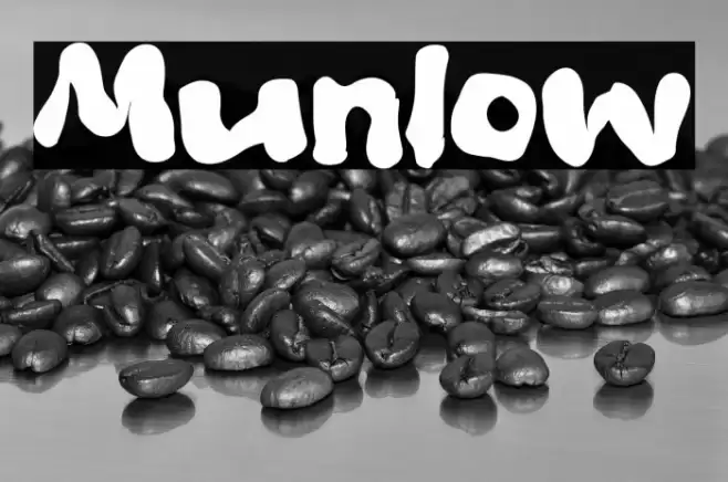 Munlow Font examples