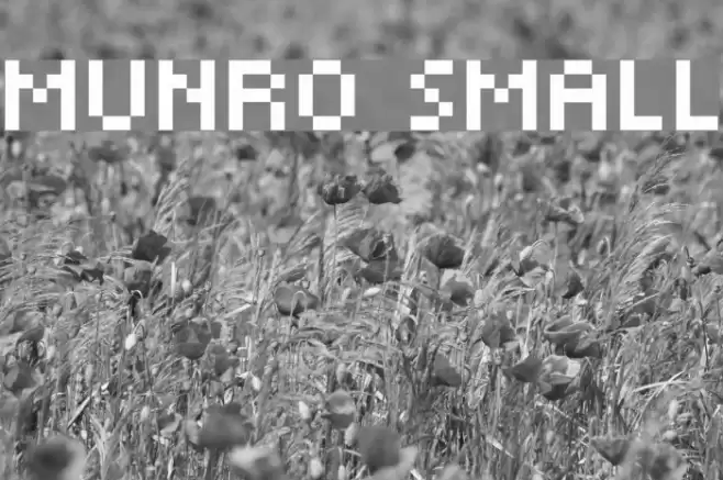 Munro Small फ़ॉन्ट examples