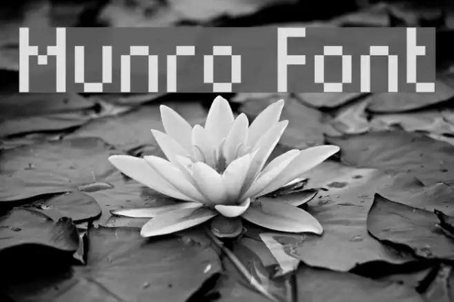 Munro Example 1