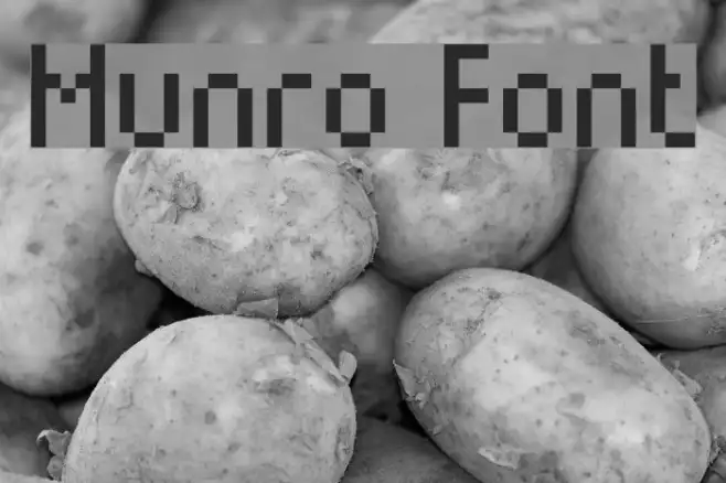 Munro Example 3
