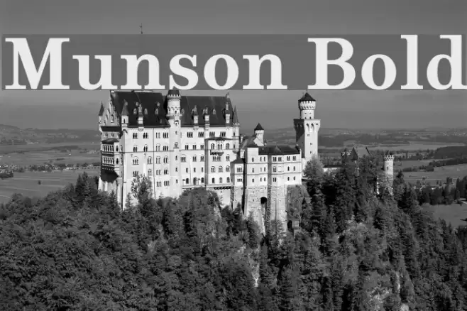 Munson Bold Example 3
