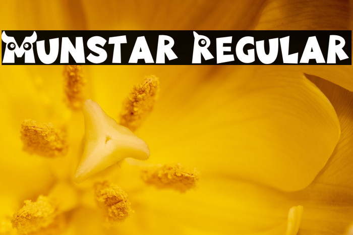 Munstar Regular Example 1