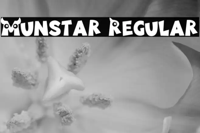 Munstar Regular Example 1