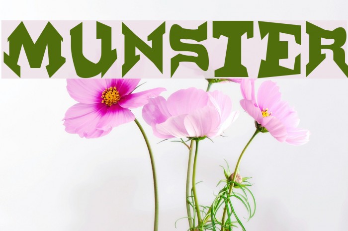 Munster Font examples