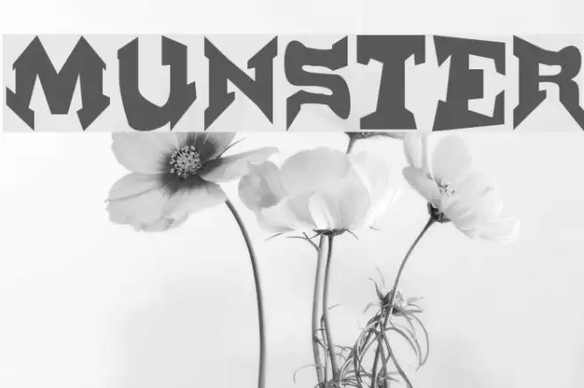 Munster Example 2