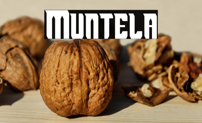 Muntela Example 1