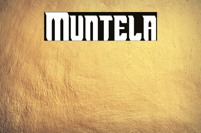 Muntela Example 2