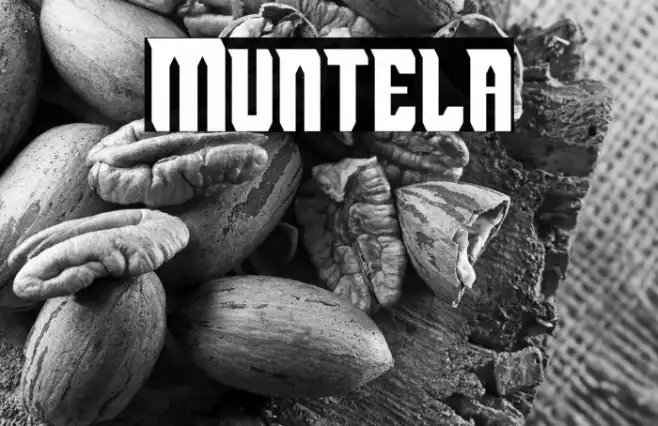 Muntela Example 3