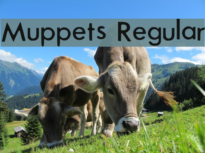 Muppets Regular Font