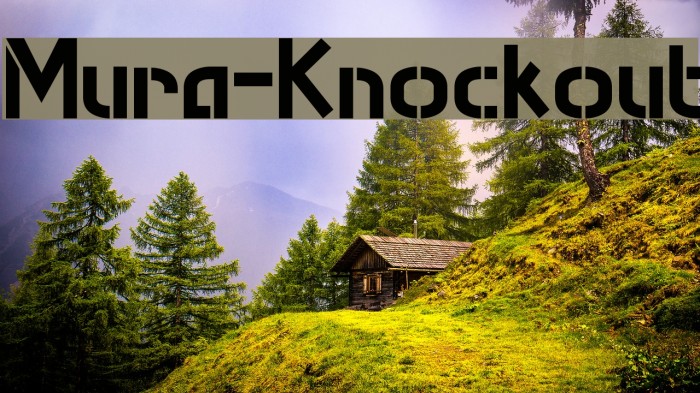 Mura-Knockout Font examples