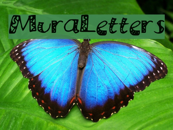 MuraLetters Font examples