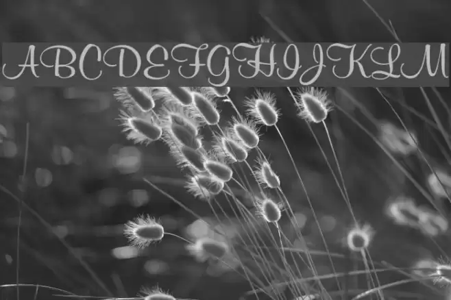 Mural Script Шрифта examples
